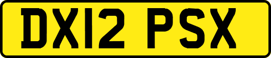 DX12PSX