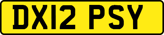 DX12PSY