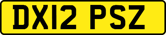 DX12PSZ