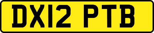 DX12PTB