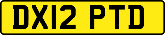 DX12PTD
