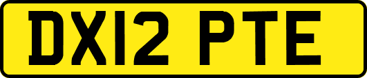 DX12PTE