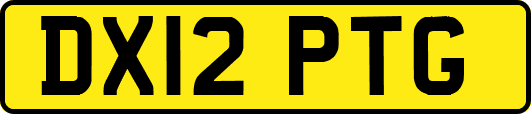 DX12PTG