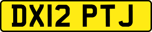DX12PTJ