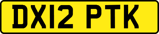 DX12PTK