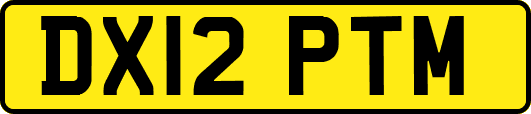 DX12PTM
