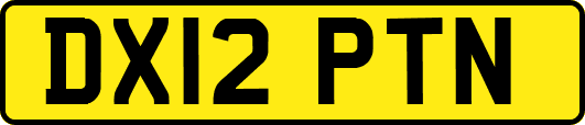 DX12PTN