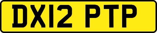 DX12PTP