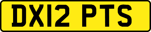 DX12PTS