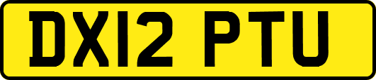 DX12PTU