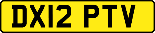 DX12PTV