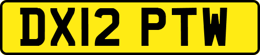 DX12PTW