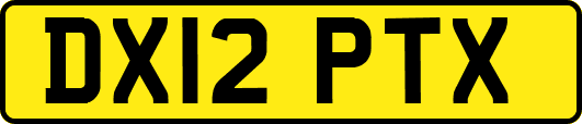 DX12PTX