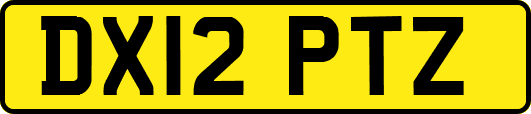 DX12PTZ