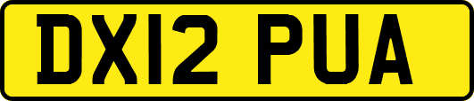 DX12PUA