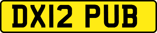 DX12PUB