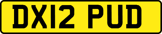 DX12PUD