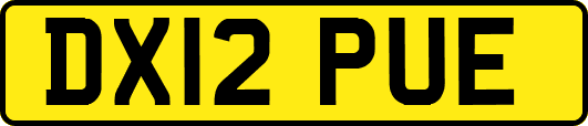 DX12PUE