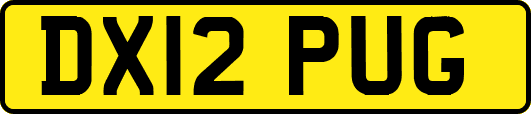 DX12PUG