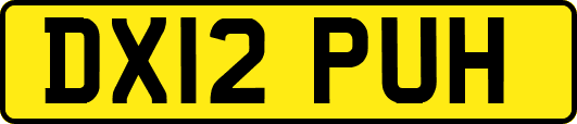 DX12PUH