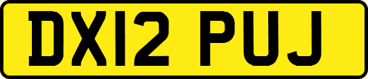 DX12PUJ