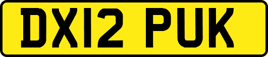 DX12PUK
