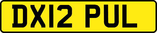 DX12PUL