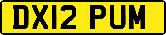 DX12PUM