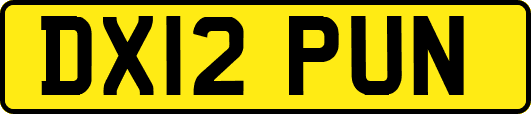 DX12PUN