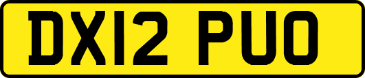 DX12PUO
