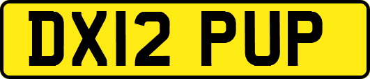 DX12PUP