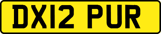 DX12PUR