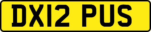 DX12PUS