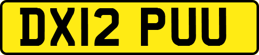 DX12PUU