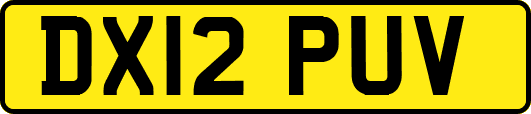 DX12PUV
