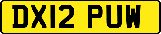 DX12PUW