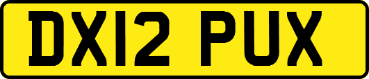 DX12PUX