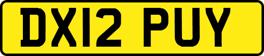 DX12PUY