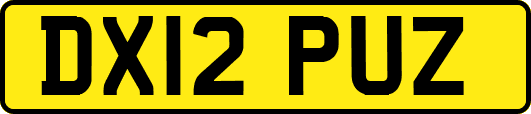DX12PUZ