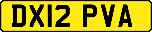 DX12PVA