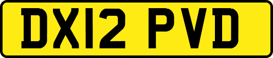 DX12PVD