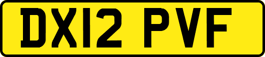 DX12PVF