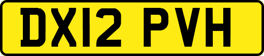DX12PVH