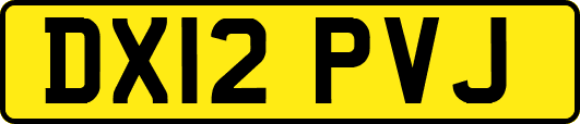 DX12PVJ