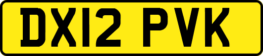 DX12PVK
