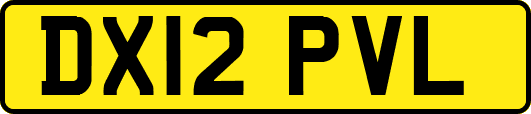 DX12PVL