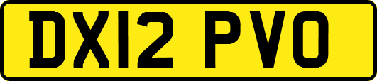 DX12PVO