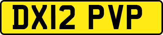 DX12PVP