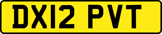 DX12PVT