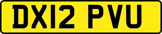 DX12PVU